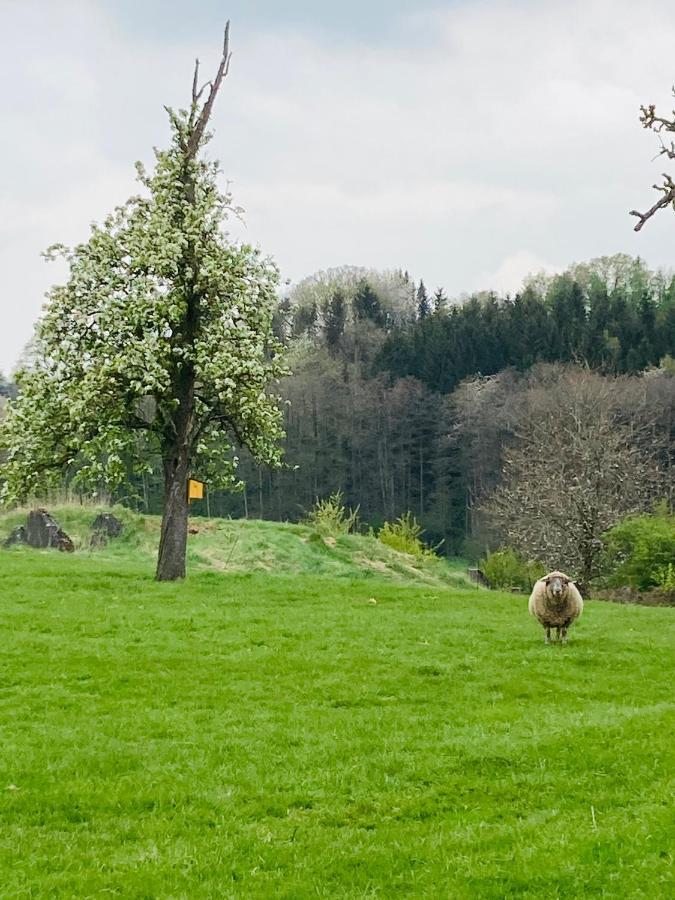 Apartmán Gut Kalkhaeuschen, Ein Ort Mit Geschichte Aquisgrà Exteriér fotografie